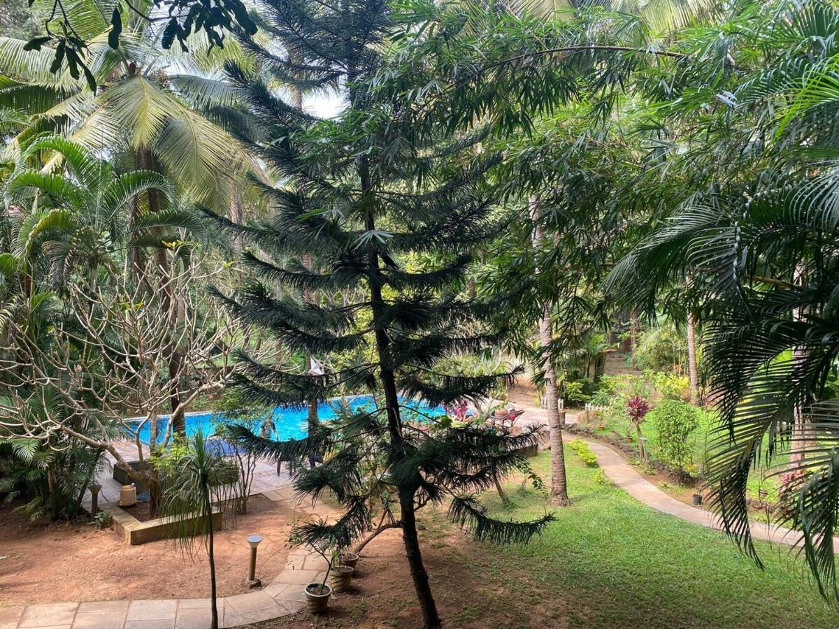 Tranquil Stay, Garden Estate - Palolem 1Bhk Flat كِناكونا المظهر الخارجي الصورة